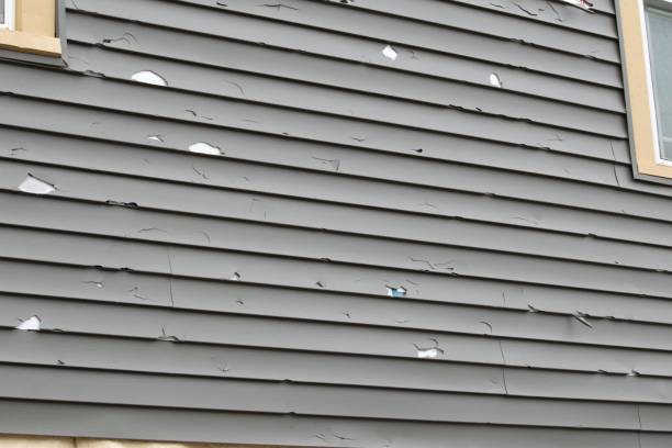 Affordable siding repair and maintenance services in Newton, NJ